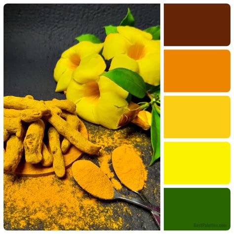 Flower with Turmeric - BestPalettes.com