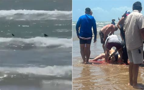 Ataques Consecutivos De Tibur N A Turistas En La Isla Del Padre Texas