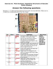 Exercise Docx Exercise Plant Anatomy Vegetative Structures Of