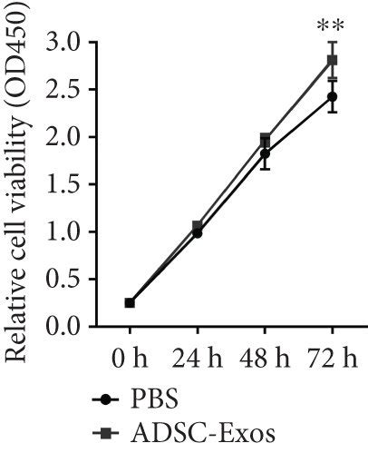 ADSC Exos Can Enhance DRG Neurite Outgrowth And Proliferation And