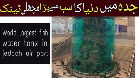 World Largest Airport Aquarium Jeddah Saudi Arabia L Youtube