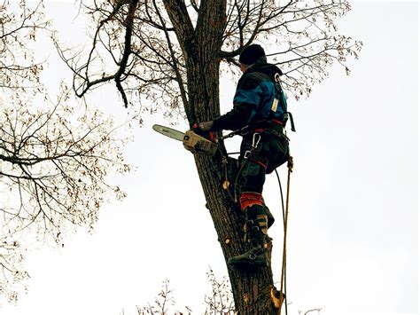 La Sicurezza Sul Posto Di Lavoro Consigli E Buone Pratiche