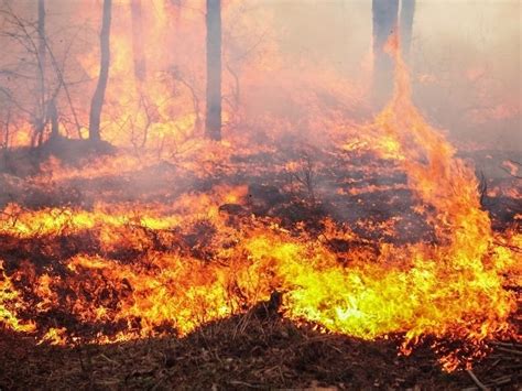 Wildfires Burning In Nj As Threat Remains High Across New Jersey Nj