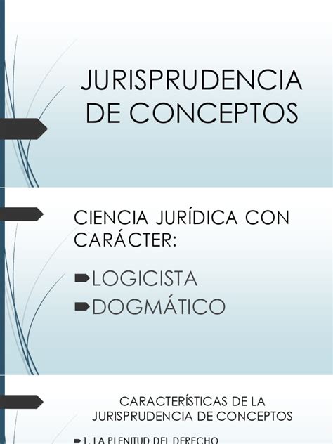 Jurisprudencia De Conceptos Pdf