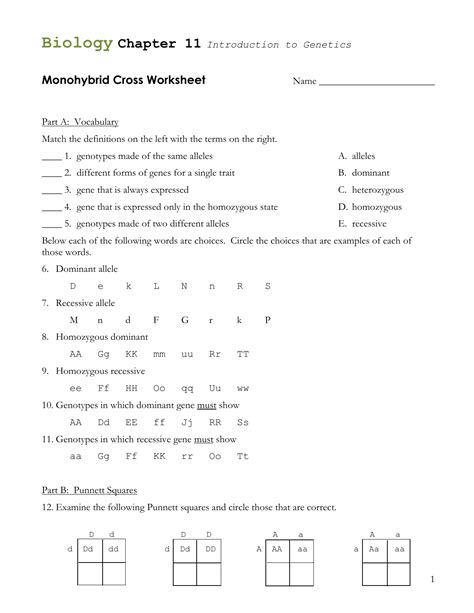 Monohybrid Cross Worksheet Answers – E-streetlight.com