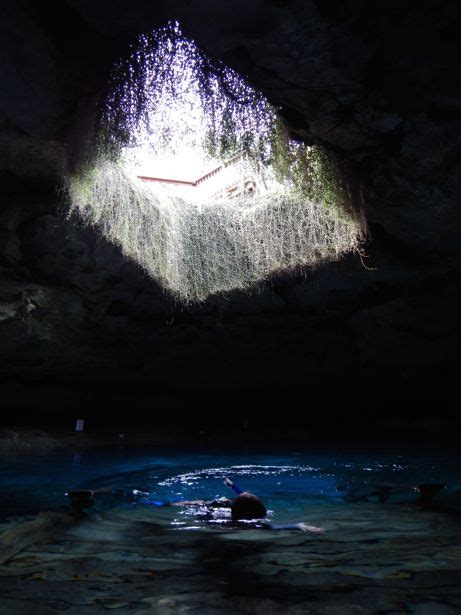 Exploring Devils Den Floridas Prehistoric Spring Chasing The Sun