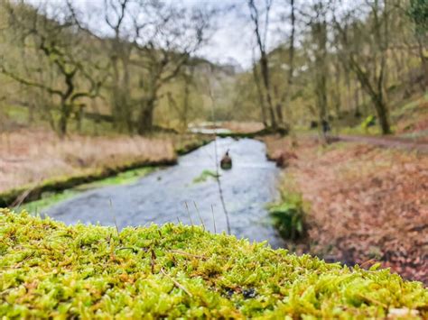 Robin Hood’s Stride From Elton | 4.5-Mile Route – Peak District Walks