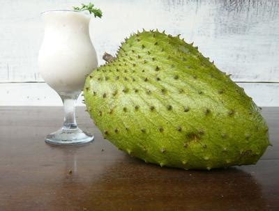 Jamaican Soursop Juice Recipe | Bryont Blog