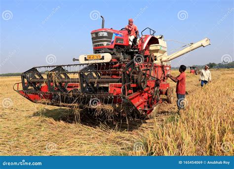 Rice Cutting Machine In The Paddy Field Editorial Stock Image Image