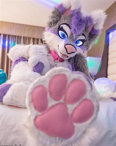 Kimberly Aurora Fursuit Hot Sex Picture