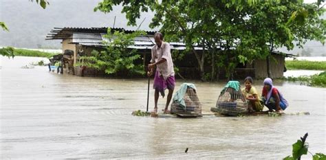 Assam Floods Update 21 Lakh Affected 50 Dead Ibtimes India