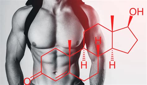 Ecco I 4 Migliori Integratore Per Aumentare Il Testosterone