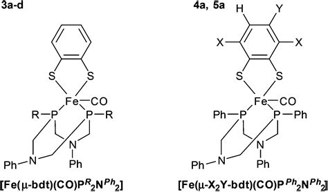 Coordination And Conformational Isomers In Mononuclear Iron Complexes