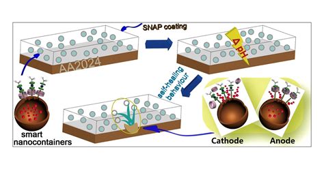 Acid And Alkaline Dual Stimuli Responsive Mechanized Hollow Mesoporous