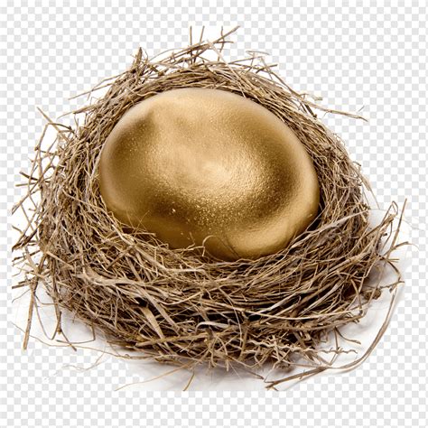 Chicken Easter Egg Nest Graphy Golden Egg Food Golden Frame