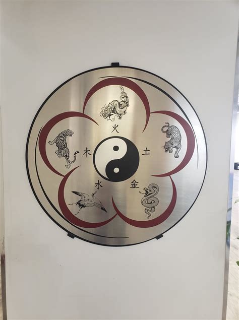 Kung Fu Traditionnel 10