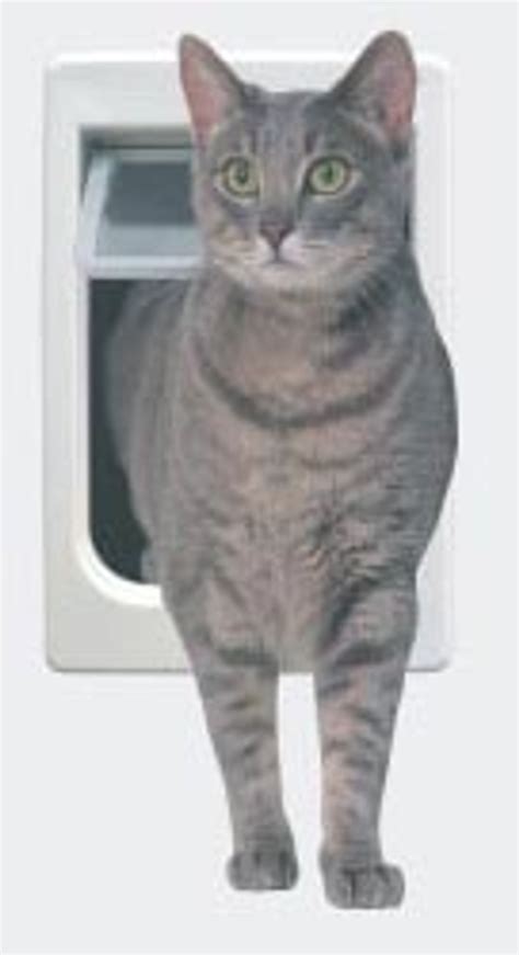 Ideal Pet ChubbyKat™ Large Cat Door | Ideal Pet Products