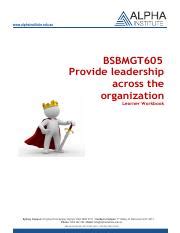 BSBMGT605 Learner Workbook Pdf Alphainstitute Edu Au BSBMGT605