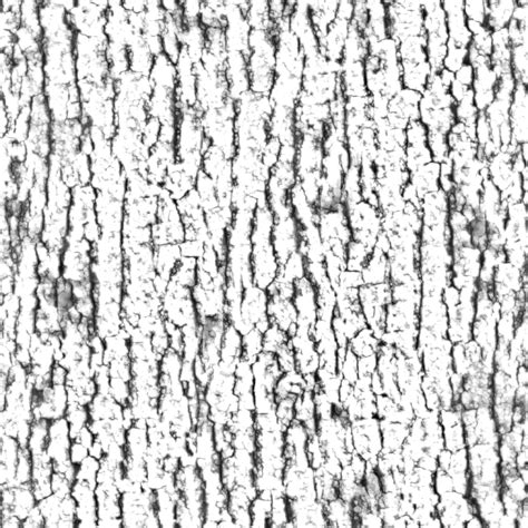 Tree Bark Texture Drawing At Getdrawings Free Download