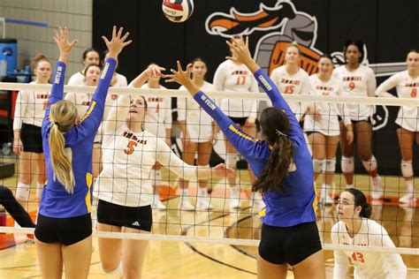 Jimmies Womens Volleyball Battles To Sweep Over Briar Cliff