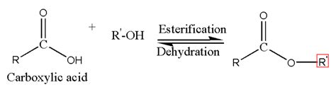 What Is Role Of Concentrated Sulphuric Acid In Esterification