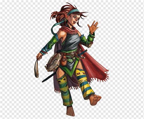 Dungeons And Dragons Pathfinder Jogo De Rpg Bard Halfling Gnome Gnome