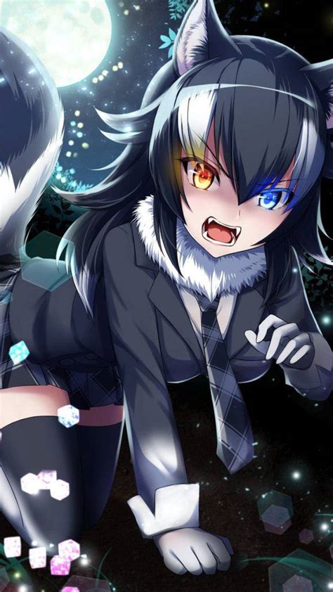 Download Cute Anime Pfp Wolf Girl Wallpaper