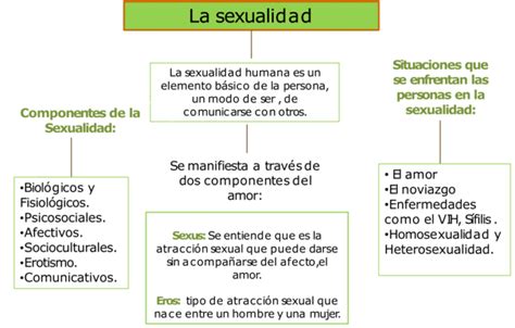 Mapas Mentales De La Sexualidad 【descargar】