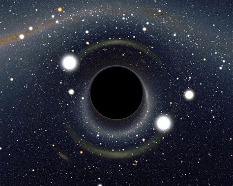 A New Hypothesis on the Nature of Black Holes