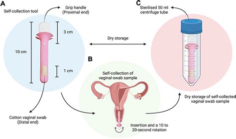 Frontiers A Pilot Clinical Validation Study Of A Self Collected