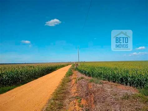 Fazenda S Tio M Em Zona Rural Em Nova Mutum Por R