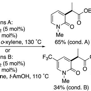 C3 Selective Alkylation And Arylation Of 2 Pyridones Under