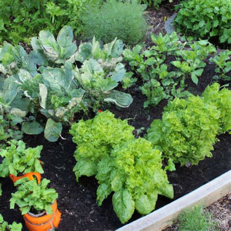 Les Secrets D Un Jardin Potager Florissant Astuces Incontournables