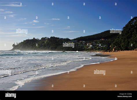 Hot Water Beach Mercury Bay Coromandel Peninsula Waikato Region