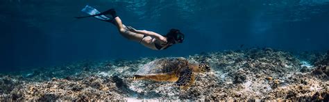 Snorkeling The Wrecks | Moreton Island Australia