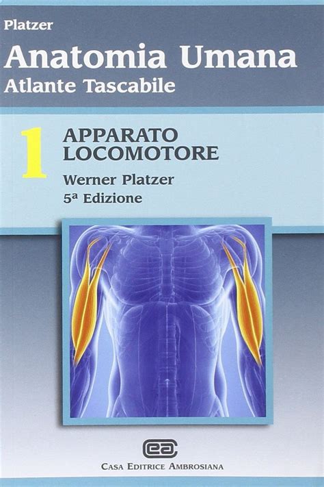 Atlante Tascabile Di Anatomia Umana Apparato Locomotore Vol 1