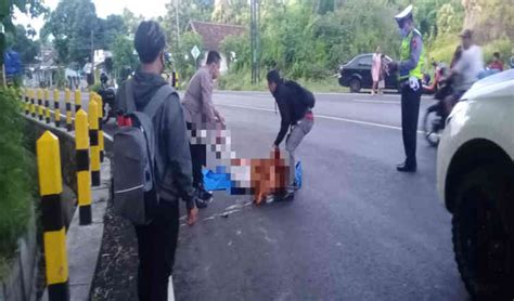 Diduga Mabuk Pemotor Di Banyuwangi Tabrak Pembatas Jalan Hingga Tewas