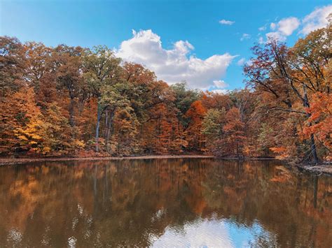 Fall colors of Fort Wayne : r/fortwayne