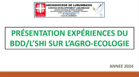 Expériences du BDD L shi sur l Agro écologie htpp bddlubumbashi fr