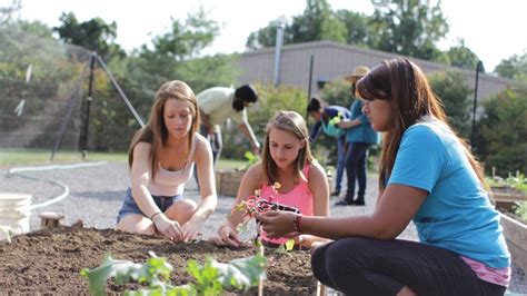 Penn State Brandywine takes on sustainable initiatives | Penn State ...