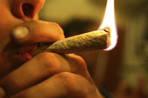 La Marihuana Puede Aumentar Los Niveles De Criminalidad Explora