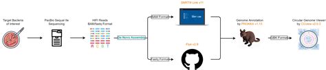 PacBio De Novo Assembly Flowchart Taiwan Genomic Industry Alliance Inc