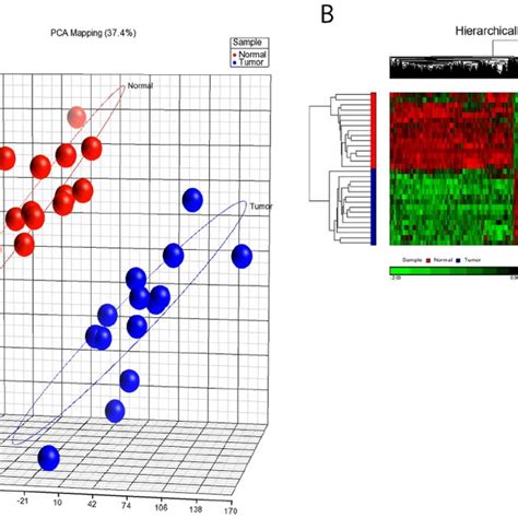 Plots Of Principal Components Analysis Pca And Hierarchical