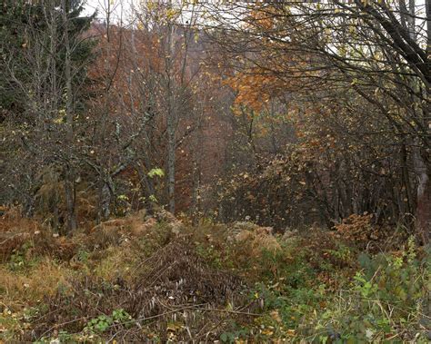 Minefields Bosnia