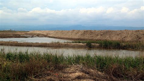 Convoquen els ajuts per a les explotacions agràries afectades pel