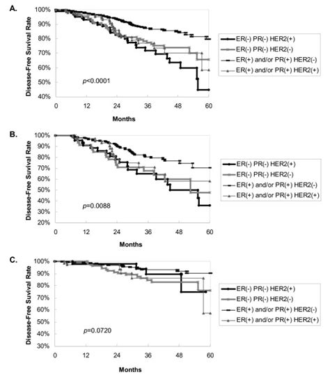 Disease Free Survival Dfs Curves According To Patient Group A Among Download Scientific