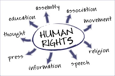 Homepage Lahaye Institute Of Human Rights And International Law