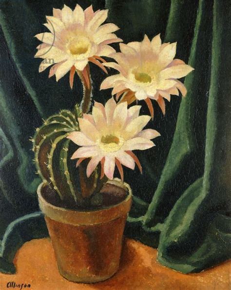 Cactus In Art Adrian Allinson British 18901959 Flowering Cactus