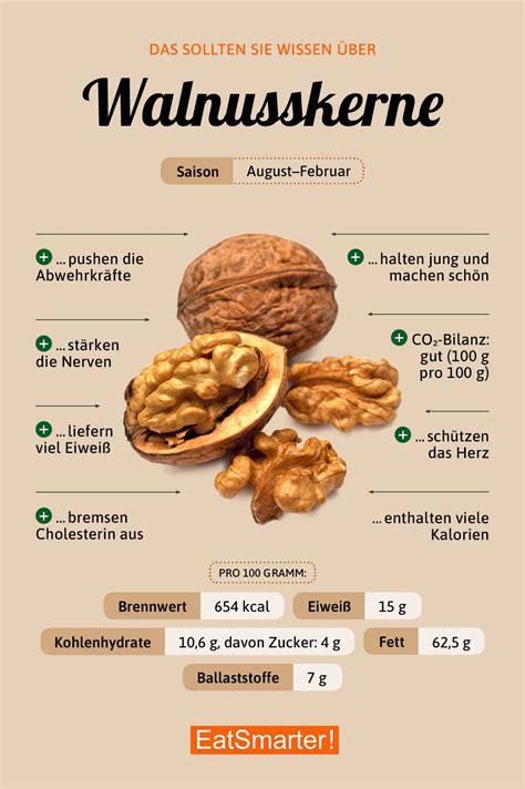 Walnüsse Nahrungsinformationen Ernährung Gesunde nahrungsmittel