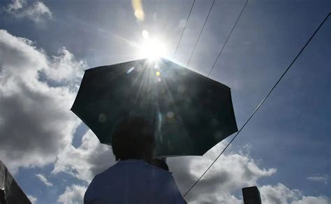 Cielos despejados y temperaturas cálidas Así estará el clima en